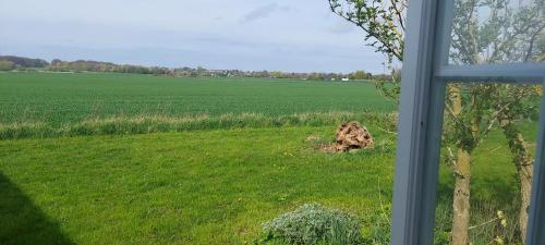 a view of a field from a window at Solbacken in Bjärred