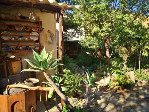 a garden with plants and a house with a tree at Casa Valeria in Teulada