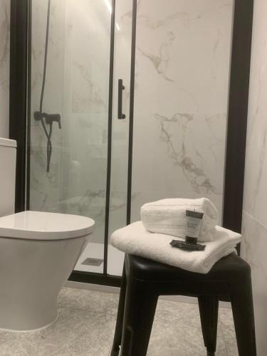 a bathroom with a shower and a toilet and a sink at Hotel DL Urban in Castellón de la Plana