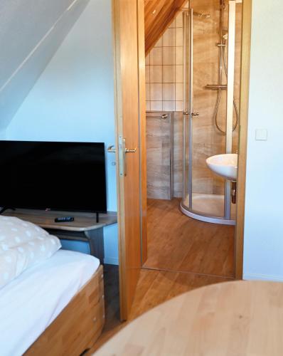 a bedroom with a bed and a television and a bathroom at Pension Sonne Hartha in Hartha
