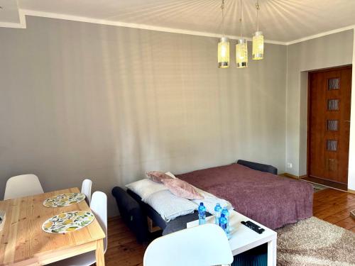 Posteľ alebo postele v izbe v ubytovaní Apartament Krasińskiego 5 - Park