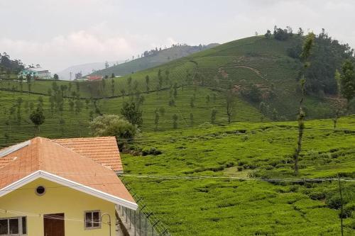 a house in the middle of a green hill at Bagaan - Tea Plantation Stay, Ooty in Aruvankadu