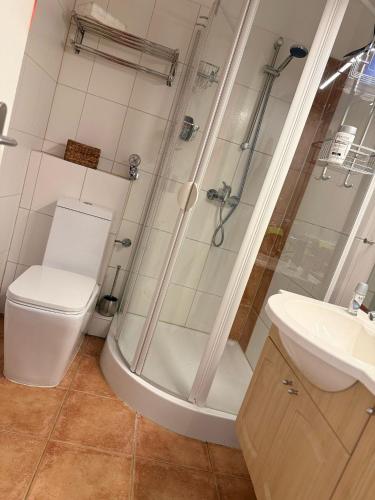 a bathroom with a shower and a toilet and a sink at Haus Westerhörn in Westerland