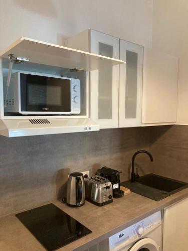 une cuisine avec un évier et un micro-ondes dans l'établissement Evasion Marine 3, à Palavas-les-Flots