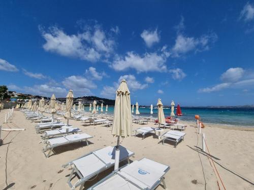 Природа в окрестностях апартаментов/квартиры