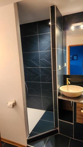 a bathroom with a sink and a mirror at Private & Comfortable Apartments in Puttelange-aux-Lacs