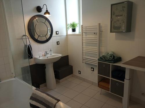 une salle de bain avec un lavabo et un miroir dans l'établissement Grand Pied à Terre in Blois for 2 to 6 travellers, à Blois