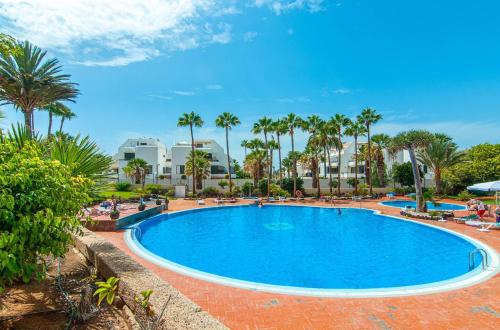 Las Americas Apartment with Ocean View