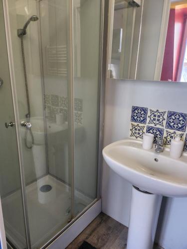 a bathroom with a sink and a shower at Appartement atypique - 2 chambres - rue calme dans centre ville in Sedan