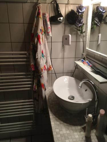 a bathroom with a sink and a toilet and a mirror at Ferienwohnung auf idyllischer Hofanlage in Lippe in Blomberg