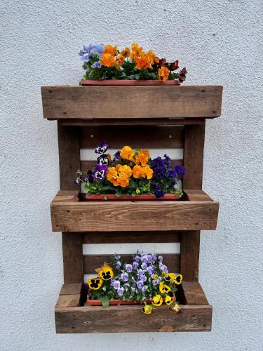 two wooden shelves with different types of flowers on them at Къща за гости Куклите Петревене in Petrevene