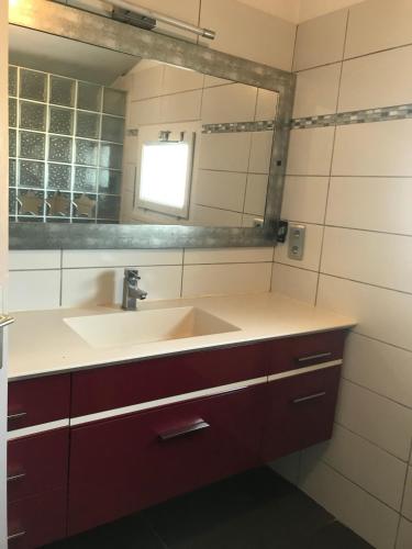 une salle de bain avec un lavabo et un miroir dans l'établissement Appartement avec grande terrasse plein sud, à Perpignan
