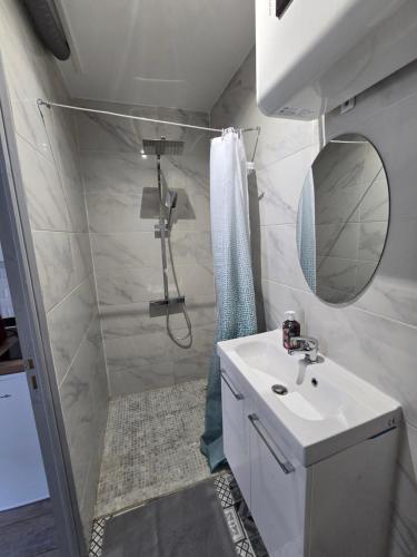 une petite salle de bain avec un lavabo et une douche dans l'établissement appartement hypercentre 301 +WIFI+INDEPENDANT+ CUISINE TOILETTE SALLE DE BAIN PRIVATIVE, à Valenciennes