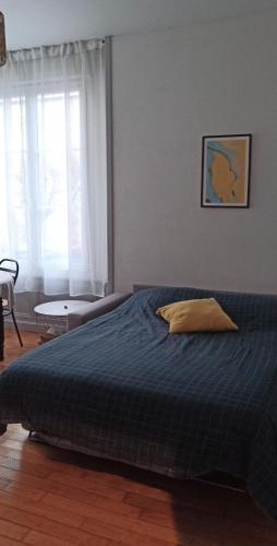 une chambre avec un grand lit avec une couverture bleue dans l'établissement Logement cosy au centre ville, à Saint-Brieuc