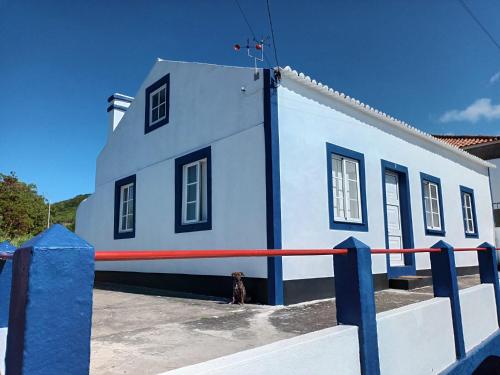 a dog standing in front of a building at Olhinhos de Azeitona - Quatro Ribeiras in Praia da Vitória
