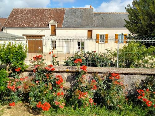 Maison dans les vignes - proche Chenonceau Beauval
