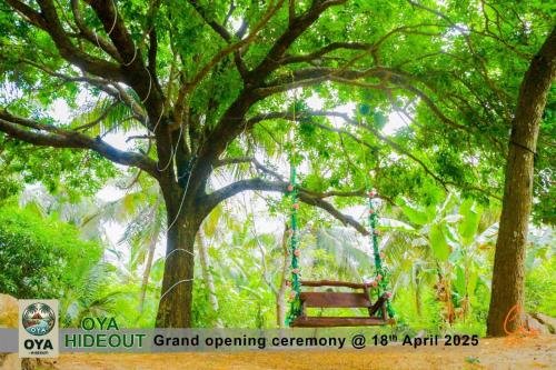 a swing in a tree in a park at Oya hideout in Anuradhapura