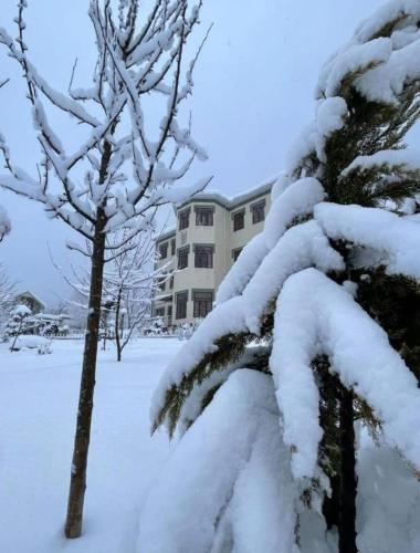 Gallery image of White Boutique Hotel Gabala in Gabala
