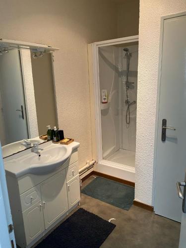 Bilik mandi di Appartement au calme.