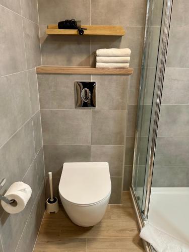 a bathroom with a toilet and a shower at Villa Nautica in Łeba