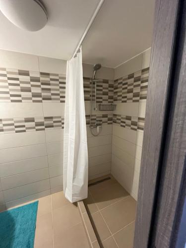 Koupelna v ubytování Pullman Apartman