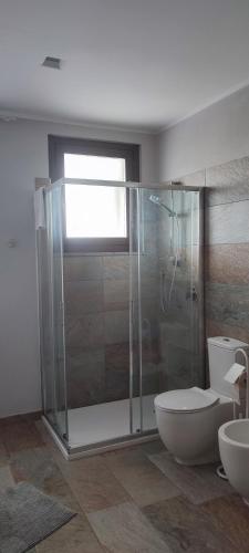 a bathroom with a shower and a toilet and a sink at Nautica Tarello - Casa Ena BeB in Viverone
