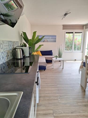 une cuisine et un salon avec un comptoir dans l'établissement Pavillon 4 personnes entièrement rénové proche plage, à Six-Fours-les-Plages