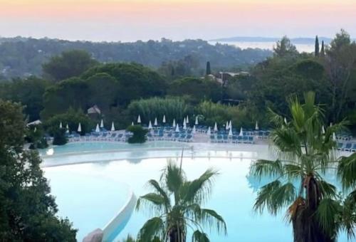 une grande piscine avec des palmiers en arrière-plan dans l'établissement One Palm, à Grimaud