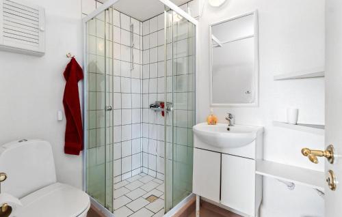 a bathroom with a shower and a toilet and a sink at Nice Home In Øster Assels in Øster Assels