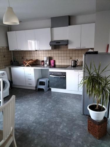 une cuisine avec des armoires blanches et une plante en pot dans l'établissement Appartement centre Alsace, à Kertzfeld
