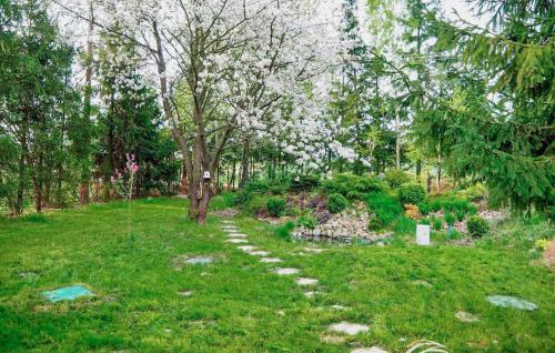 a path in a field with a flowering tree at Pet Friendly Home In Sulów in Sułów