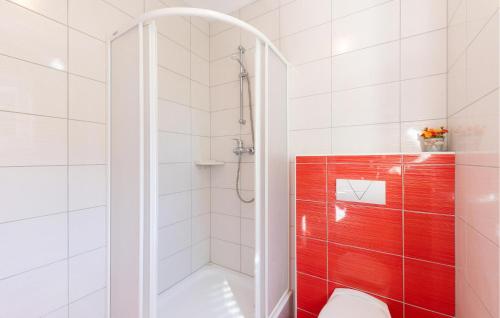 a white bathroom with a shower and a toilet at Gorgeous Apartment In Duce With Wifi in Duće