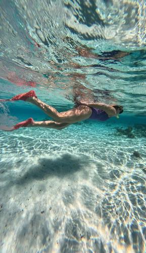 a woman swimming in the water in the ocean at Atoll Retreat in Fulidhoo