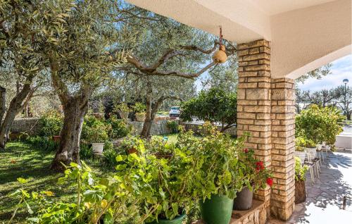 O grădină în afara Amazing Apartment In Sibenik With Sauna