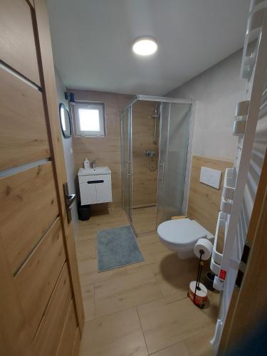 a bathroom with a shower and a toilet and a sink at Penzion Jantoľák in Zuberec