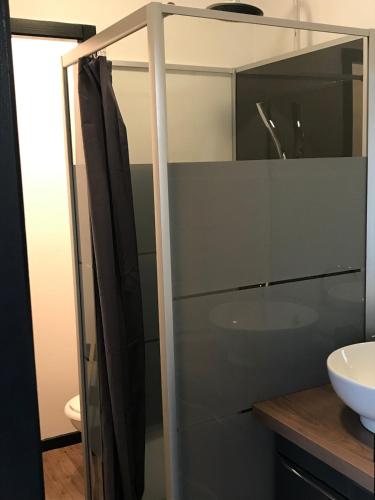 La salle de bains est pourvue d'un lavabo et d'une porte de douche en verre. dans l'établissement Hypercentre Calme Proche Massey, à Tarbes