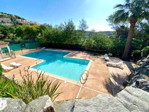 une piscine dans une cour avec un palmier dans l'établissement Mazet vue mer - parking - wifi - clim - piscine, à Sainte-Maxime