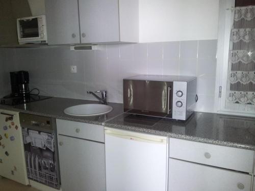 une cuisine avec un micro-ondes et un évier dans l'établissement Estacade Lac et Océan, à Vieux-Boucau-les-Bains