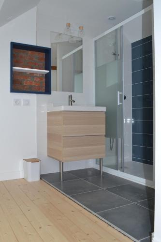 une salle de bain avec un lavabo et une douche dans l'établissement Country house, 8 people, à Quemper-Guézennec