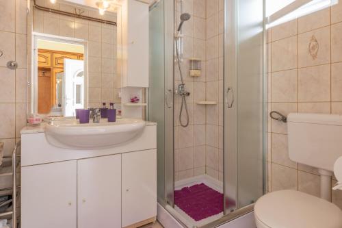 a bathroom with a sink and a shower and a toilet at Villa Dajana, a cozy pet friendly Villa minutes from the beach in Juršići