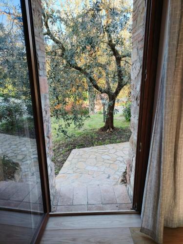 a glass door with a view of a tree at La Bottega di Torreluca in Todi