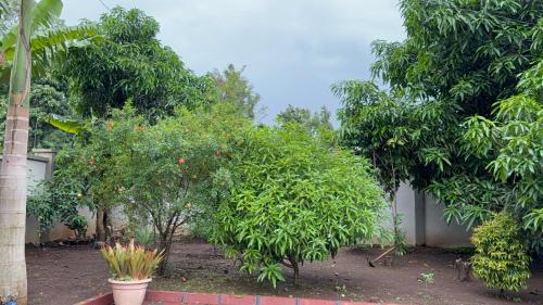 Taman di luar Mercy Residence