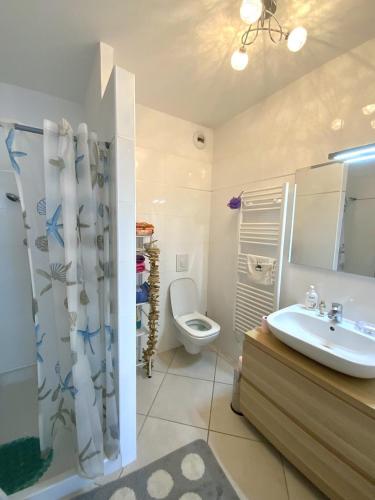une salle de bain avec un lavabo, des toilettes et une douche dans l'établissement Bel appartement à Ile Rousse, à LʼÎle-Rousse