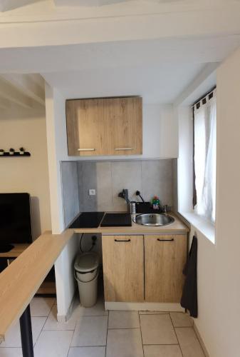 Elle comprend une petite cuisine avec des placards en bois et un évier. dans l'établissement Duplex 2 - Proche du Jardin des Plantes, à Rouen