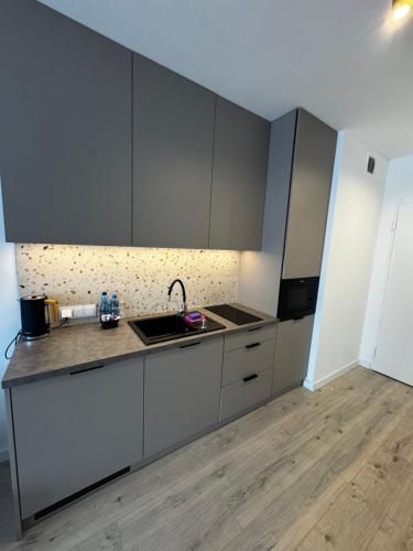 a kitchen with gray cabinets and a sink and a counter at Platon Residence Apartments in Łódź