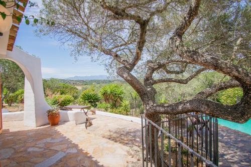 een uitzicht vanaf de patio van een huis met een boom bij Villa Mare è Macchia Accasà in Bonifacio