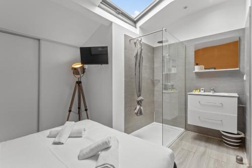 d'une salle de bains avec douche, d'un lit et d'une télévision. dans l'établissement Modern apartments located in Cannes, à Cannes
