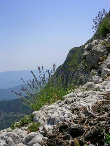Φυσικό τοπίο κοντά σε αυτή η παραθεριστική κατοικία
