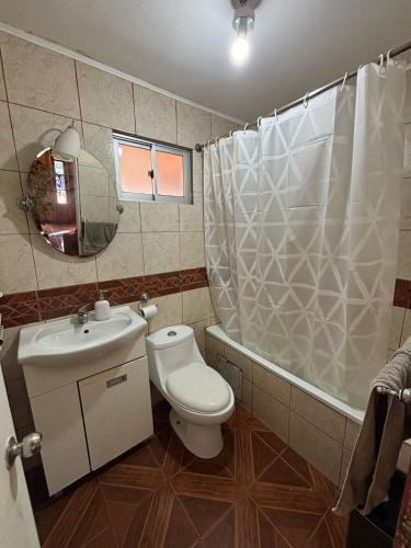 a bathroom with a toilet and a sink and a shower at Cabañas Punta de Piedra in Punta de Piedra