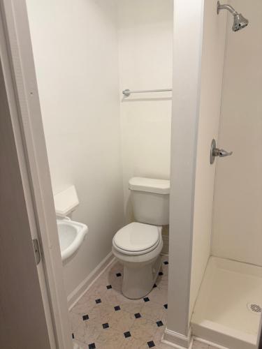 a white bathroom with a toilet and a shower at Buffalo Guesthouse in Buffalo